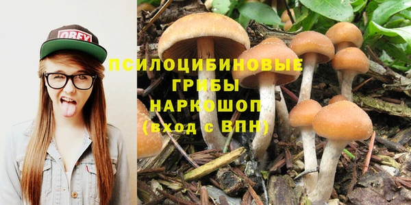 метамфетамин Алексеевка