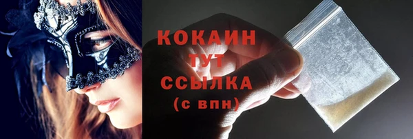 индика Семикаракорск