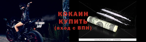 индика Семикаракорск