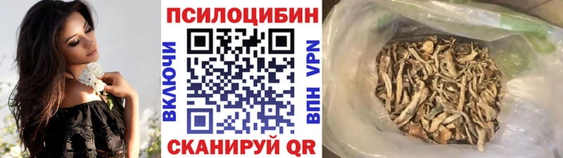 Галлюциногенные грибы Psilocybine cubensis Сасово